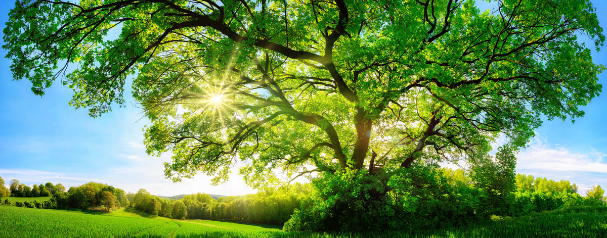 Retreat mit Meditation und Achtsamkeit in Vorbereitung bei Herzebene
