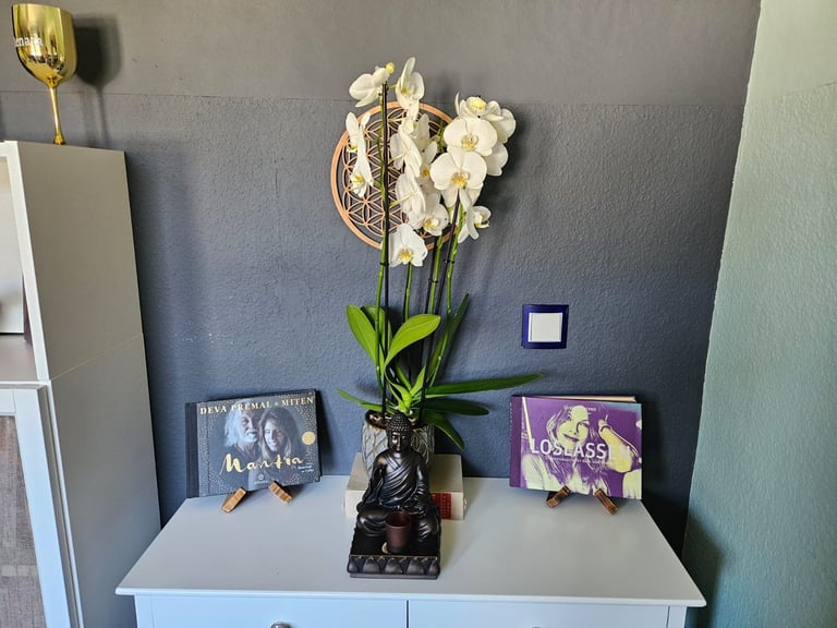 White dresser with white orchids in a black vase, decorative items, and books against a gray wall